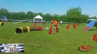 Agility Jack Russell A2 clear run  - Chester & Vasilis in Belgrade 23/4/16