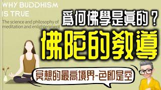 Ep812.佛陀的教導 《洞見》丨為什麼佛學是真的？丨色即是空丨正念冥想丨開悟丨Why Buddhism is True丨作者 Robert Wright  丨廣東話丨陳老C