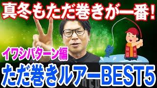 ただ巻きルアーBEST5 イワシパターン編！オヌマンのシーバス塾