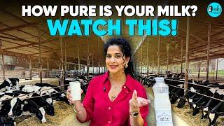 How Pure Is Your Milk? Kamiya Jani Visits A Farm In Pune | Curly Tales