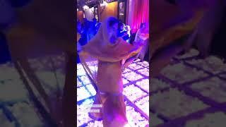 Minal khan Dance on Pashto song / Minal's Mayun / #minalkhandance #minalkhan