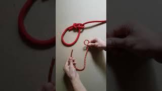 Bowline knot shorts in 15 seconds! Non jamming loop in a rope  #shorts #lifehacks #outdoor