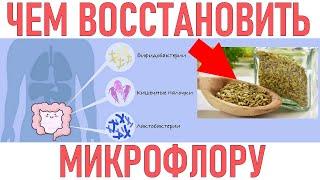 МИКРОФЛОРА КИШЕЧНИКА | Препараты для восстановления микрофлоры кишечника