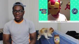 Best Marvel Superhero Vines Compilation REACTION!!!!