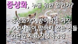 중성화, 누굴 위한 일인가? - 죽을 수도 있는 중성화 후유증, 감춰진 진실