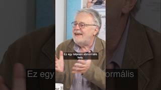 Máté Gábor: Ez egy teljesen abnormális hely #shorts