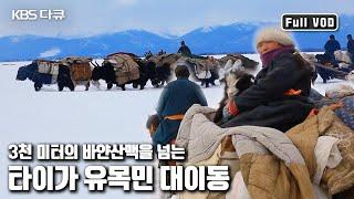 순록은 리무진 야크는 트럭! 봄 유목지를 향해 3천미터 산맥을 넘는 유목민의 대이동 | 와일드 몽골리아 - 2부 타이가의 순례자들 | KBS 20120523 방송