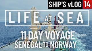 SHIP'S VOYAGE SENEGAL TO NORWAY | ENGLISH CHANNEL | LIFE AT SEA | SHIP'S vLOG 14