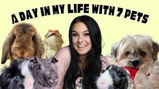 A Day In My Life With 7 CRAZY pets!!