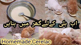 Homemade Cerelac for Cats | funny vlog | KITTYcat Vlogs