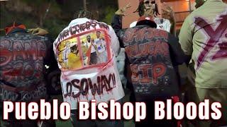 Pueblo Bishop Bloods | The Run Down