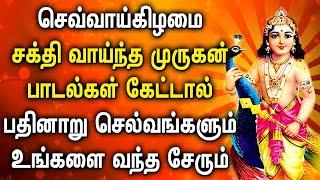 TUESDAY POPULAR MURUGAN TAMIL DEVOTIONAL SONGS | Lord Murugan Tamil Padalgal | Lord Murugan Songs