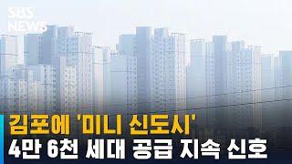 김포에 4만 6천 세대 '미니 신도시'…공급 지속 신호 / SBS