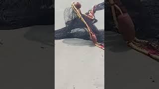 Fishermen @ Arambol Beach #okayletsgo24 #video #vlog #short #beach