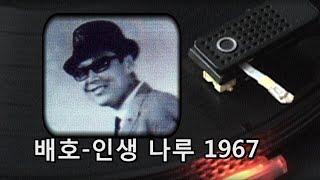 배호~'인생 나루' 1967