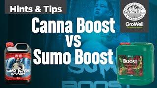 Battle of the Boosts! SHOGUN Sumo Boost vs Canna Boost Accelerator | Hints & Tips