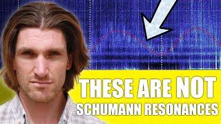BREAKING! Strange Wave Patterns appear in the Schumann Resonances
