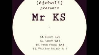 Mr KS - Walk Into The Sun