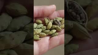 Health Benefits of Cardamom, Backed by Science#shorts