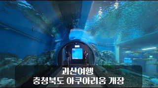 [SNS 서포터즈] 괴산여행 충청북도 아쿠아리움 개장