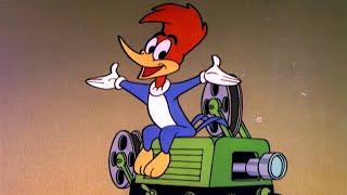 LIVE  24/7  Woody Woodpecker Original Classic TV Marathon | Join Woody LIVE!