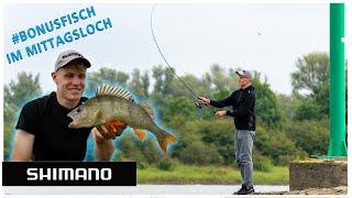 FREE-RIG vs JIG - Raubfischangeln am Fluss I How-To mit Teamangler Nils