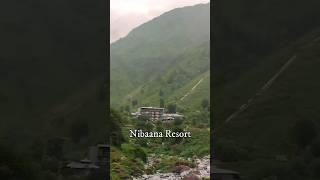 How to reach Nibaana Resort, Lungta Village Dharamshala #travel #shorts #nibaanaresort #dharamshala