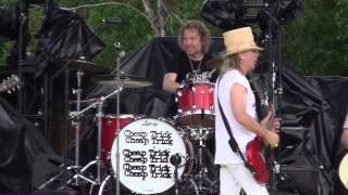 Cheap Trick - Ain't That A Shame (Wanee 2015)