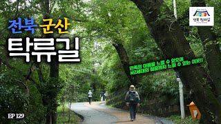 [4K] 전북 군산 명소들을 걸어보는 전북천리길 탁류길 코스 트레킹 이야기