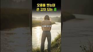 오줌을 쌌는데 강이되는 꿈 #꿈해몽 #꿈해석