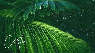 (FREE) | "Cancun" | Rema x Burna Boy x B Young Type Beat | Free Beat | Afrobeat Instrumental 2025