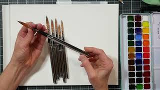 I Found a Great Travel Synthetic Watercolor Quill Brush Set!