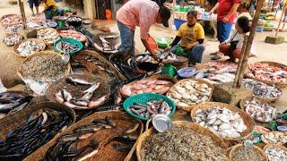 Fish Market & More - Cambodia Food Vlogs - Cambodia Food Market | The View of Fish Market | Br Tv