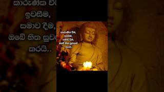 #ධර්මදානයක්_වේවා #truth #dhamma #dhamma_talk #buddha #love #nirwana #buddhism #motivation #nibbana