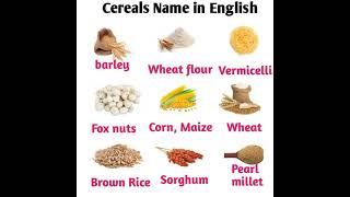 Cereals Name in English || English Vocabulary.
