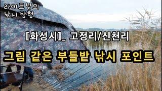 [화성시]_ 고정리 / 신천리 부들밭 둠벙 / 낚시 포인트