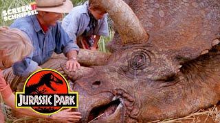 Kranker Triceratops | Jurassic Park | Screen Schnipsel