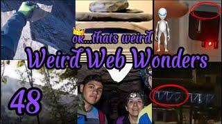 weird web wonders 48