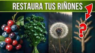 5 Alimentos Milagrosos para RESTAURAR tus RIÑONES ️ ¡Transforma tu Salud!