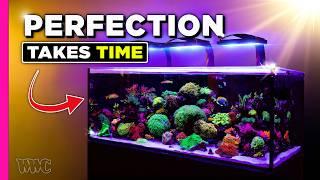 A Reefing Journey: Years of Lessons Perfected | 190 Gallon Tank