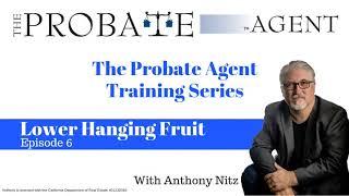 Lower Hanging Probate Fruit   Probate Training   Episode 6