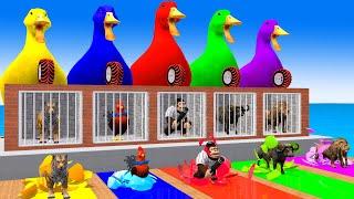 5 Giant Duck Cartoon,Cow,Lion,chicken,Tiger,Monkey Paint Wild Animals Crossing Fountain Animation