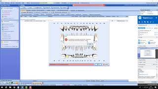 Formation ortho