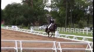 Chordena MG 5 yo dressage mare