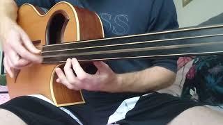 Warwick Alien Acoustic Fretless Bass Guitar Solo. Eastern Drone Music (Unplugged)