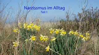 Narzissmus im Alltag Teil 1