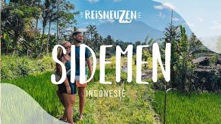 SIDEMEN BALI INDONESIË  | DE FIJNSTE EN MOOISTE PLEK VAN BALI | WERELDREIS VLOG 88