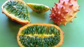 Kiwano (Horned Melon)