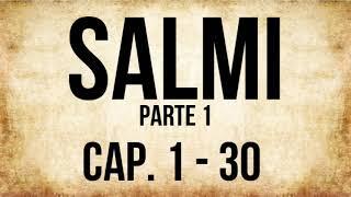 19 - Libro di Salmi - PARTE 1 (BIBBIA ITALIANA IN AUDIO)