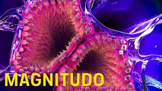 Magnitudo | Kurzfilm (Digital Film Design)